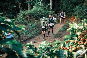 BIB: 
                            <button type="button" onclick="openModal(25838478)" class="btn btn-primary btn-sm float-right btn-popup" data-toggle="modal" data-target=".modal-high-quality">
                        <i class="fas fa-shopping-cart"></i> Add to Cart
                    </button>
                                            <button type="button" onclick="isThisMe(25838478, true)" class="btn btn-success btn-sm float-right btn-popup btn-isme hidden" data-toggle="tooltip" data-placement="bottom" title="นี่คือรูปของคุณใช่ไหม คลิกที่นี่เพื่อเอาเข้าอัลบั้ม">
                        <i class="fas fa-plus"></i> Add to album
                    </button>
                    <button type="button" onclick="isThisMe(25838478, false)" class="btn btn-warning btn-sm float-right btn-popup btn-isnotme hidden">
                        <i class="fas fa-ban"></i> Remove from album
                    </button>